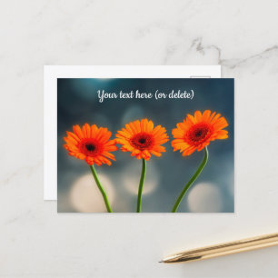 Drei Orange Gerberas in Row Postcard Postkarte