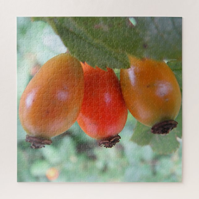 Drei orange Hagebutten (Vertikal)