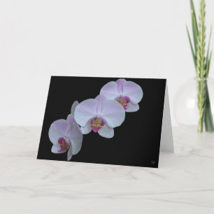 Drei orchid Grußkarten Karte