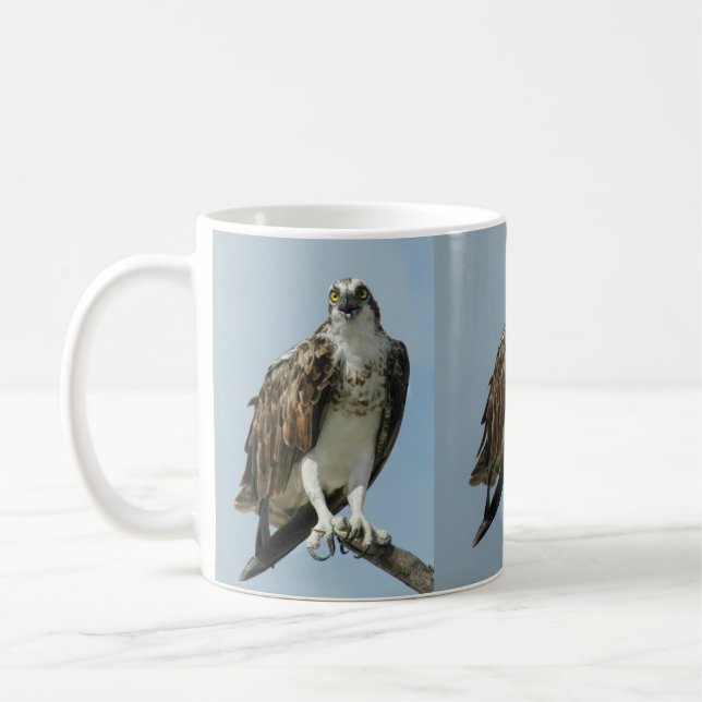 Drei Ospreyfalkebilder Kaffee-Tasse Kaffeetasse (Links)