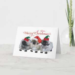 Drei Pekingese-Welpen Weihnachten