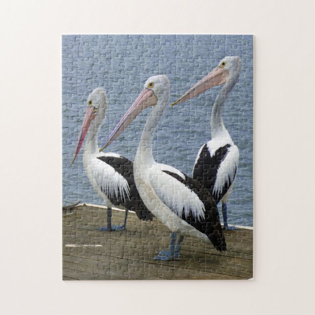 Drei Pelikane auf einem Dock-Foto-Puzzle (Vertikal)