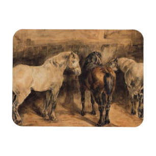 Drei Pferde im Stall Magnet