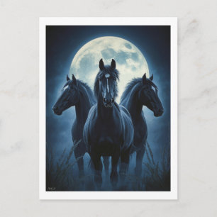 Drei Pferde Mond Postkarte