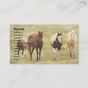 Drei Pferde und ein Pony Visitenkarte