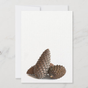 Drei pinecones