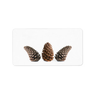 Drei pinecones adressaufkleber