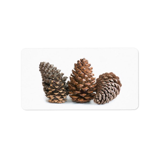 Drei pinecones adressaufkleber (Vorne)