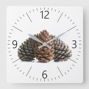 Drei pinecones quadratische wanduhr