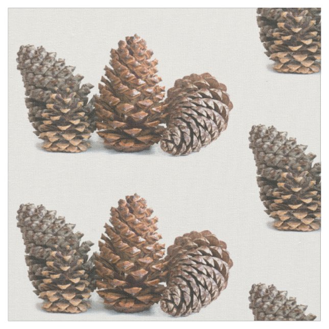 Drei pinecones stoff (Nahaufnahme)
