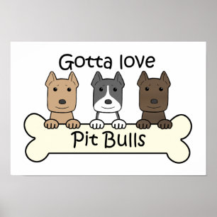 Drei Pitbulls Poster