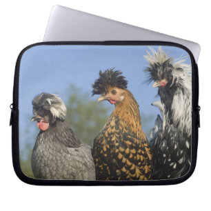 Drei polnische Hühner - Laptopschutzhülle