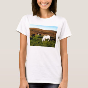 Drei Ponys auf Dartmoor T-Shirt
