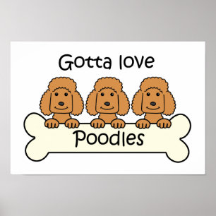 Drei Poodles Poster