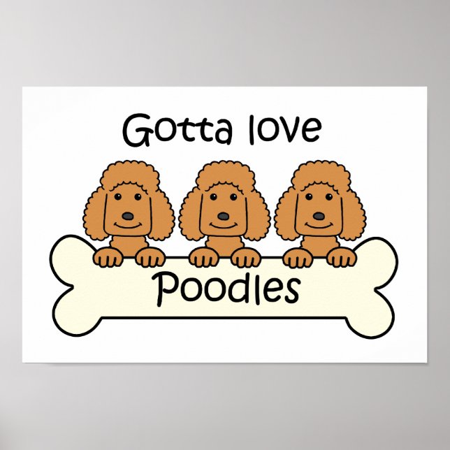 Drei Poodles Poster (Vorne)