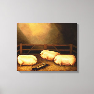 Drei Prize Schweine außerhalb eines Schweinestall Leinwanddruck