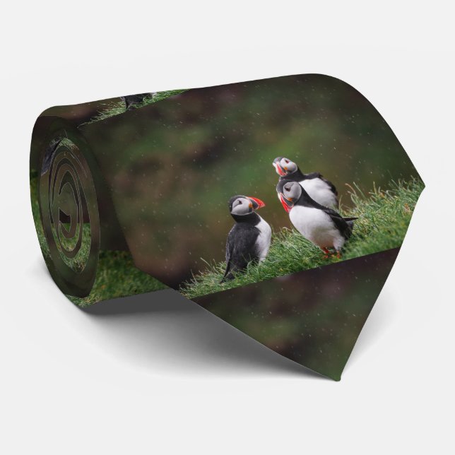 DREI PUFFIN VÖGEL STILL KRAWATTE (Gerollt)