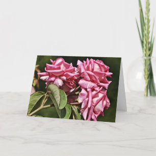 Drei rosa Hübsche Rose Karte