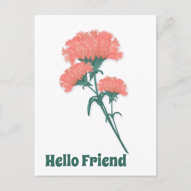 Drei rosa Nelken, Hallo Freund Postkarte (Vorderseite)