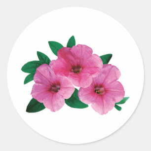 Drei rosa Petunias Runder Aufkleber