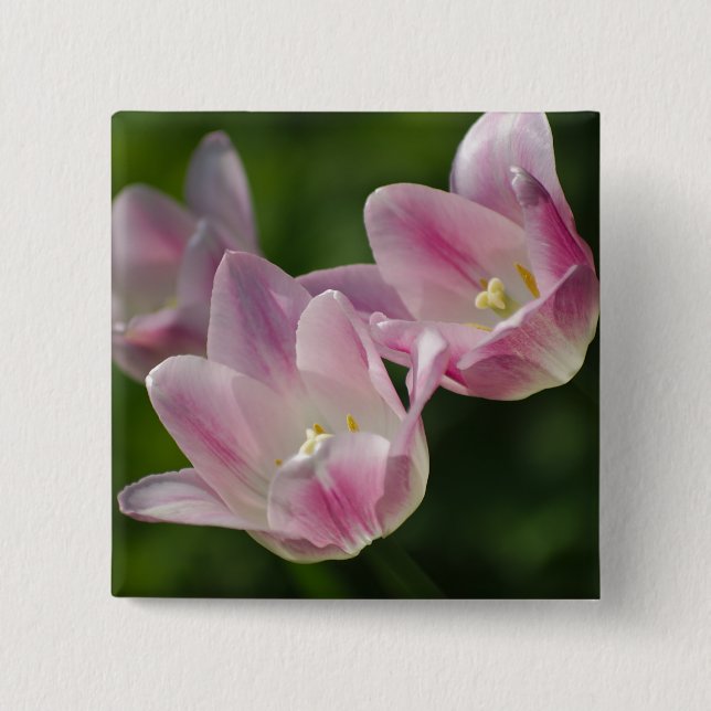 Drei rosa Tulpen Button (Vorderseite)
