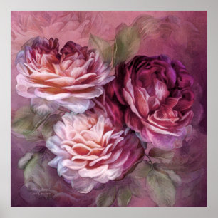 Drei Rose - Burgund - Fine Art Poster/Print Poster