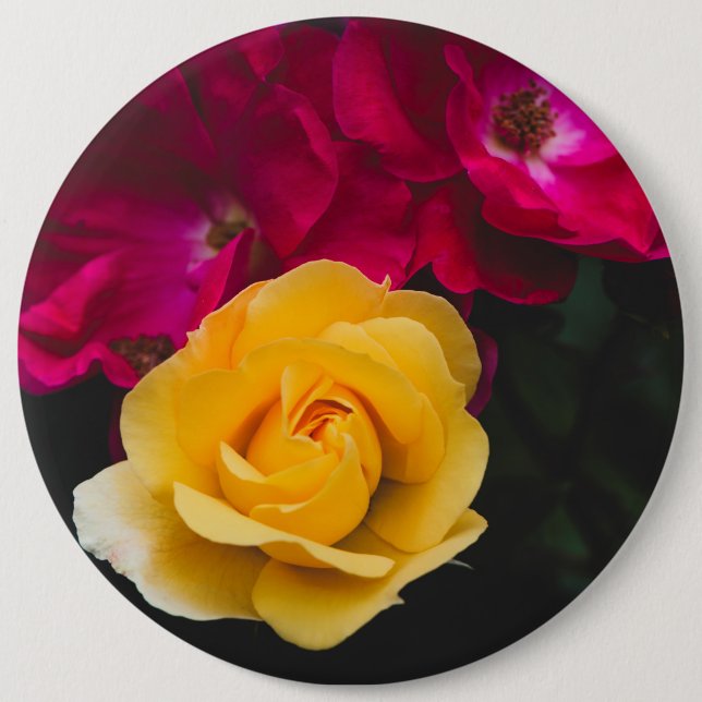 Drei Rose Button (Vorderseite)