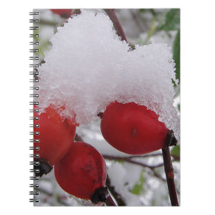 Drei Rose Hüften und Schnee Notizblock