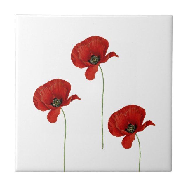 Drei rote Poppies Keramik Tile Fliese (Vorderseite)