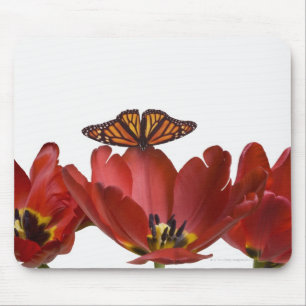 Drei rote Tulpen und ein Monarchfalter gegen Mousepad