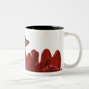 Drei rote Tulpen und ein Monarchfalter gegen Zweifarbige Tasse