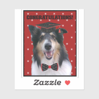 Drei Rough Collie Herzlichen Glückwunsch zum Absch Aufkleber