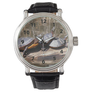 Drei Schildkröten auf einer Rundschau Armbanduhr