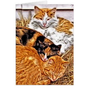 Drei schlaflose Katzen, unbedachter Jeden Anlaß