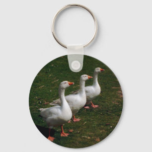 Drei Schlüsselring der Gans-  Schlüsselanhänger