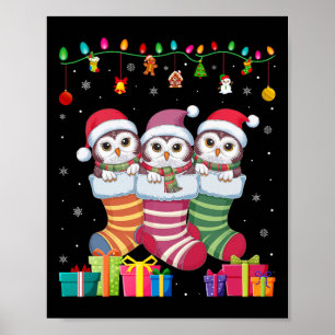 Drei Schneeeulen im Socken lustige Jungen Mädchen  Poster