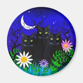 Drei schwarze Katzen im nächtlichen Magnet