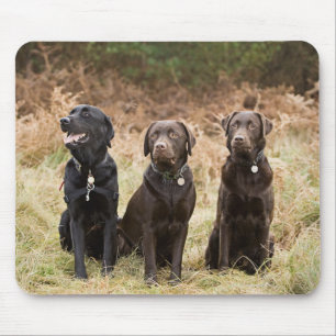 Drei schwarze Labrador-Retriever Mousepad