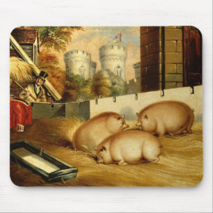 Drei Schweine mit Schloss im Hintergrund Mousepad