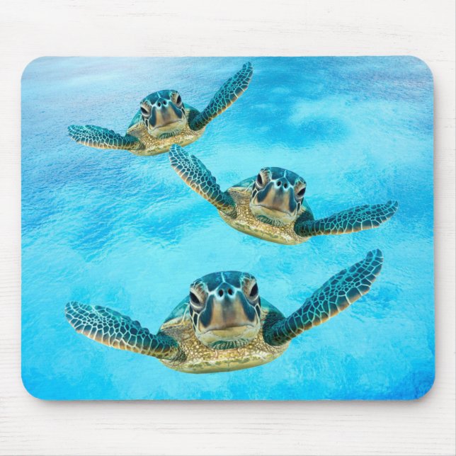 Drei schwimmende Baby-Meeresschildkröten Mousepad (Vorne)