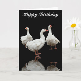 DREI SEBASTOPOL GEESE FOTO BLACK GREETING CARD KARTE