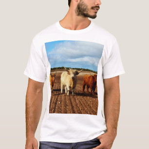 drei sehr schmutzige Hochlandkühe, T-Shirt