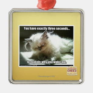 Drei Sekunden Silbernes Ornament