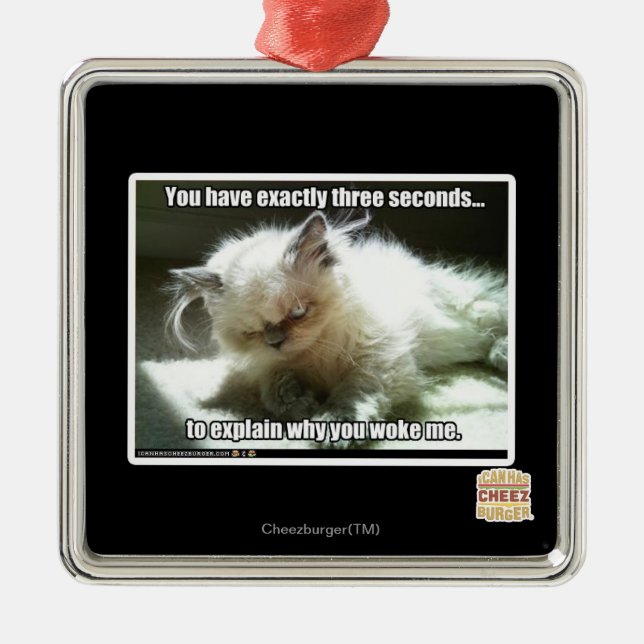 Drei Sekunden Silbernes Ornament (Vorne)