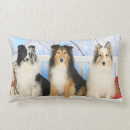 Drei Sheltie Farbweihnachten Lendenkissen
