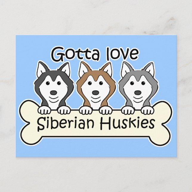 Drei sibirische Huskies Postkarte (Vorderseite)