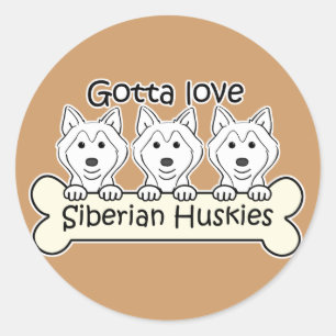 Drei sibirischer Huskies Runder Aufkleber