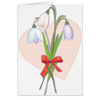 drei snowdrops
