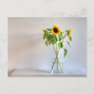 Drei Sonnenblumen Postkarte