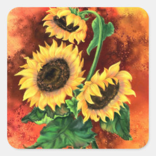 Drei Sonnenblumenaufkleber - Malerei Quadratischer Aufkleber